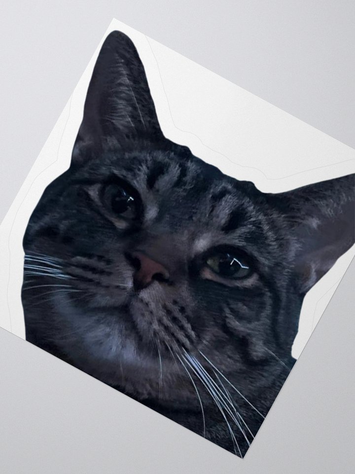 Chewie Sticker product image (6)