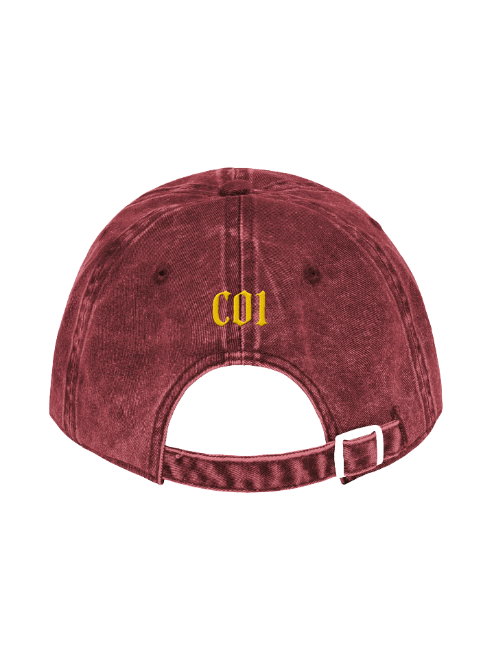 Team Infinights Embroidered Hat product image (4)