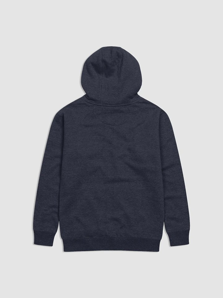 Hillsdale Falcons Hoodie product image (4)