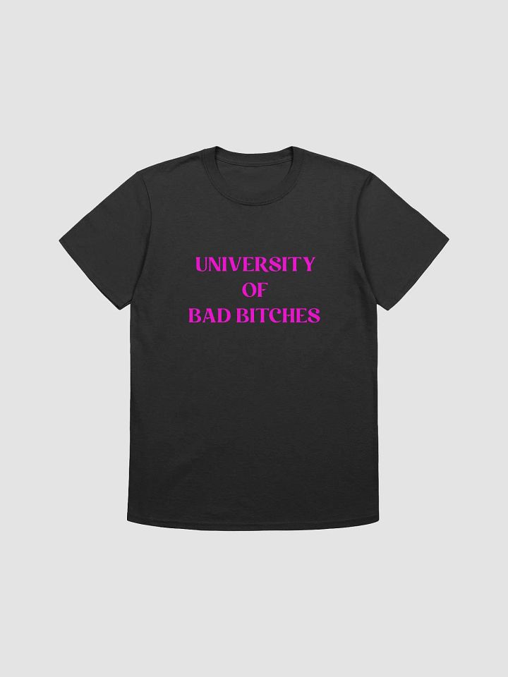 UNIVERSITY OF BAD BITCHES(PINK PRINT) product image (1)