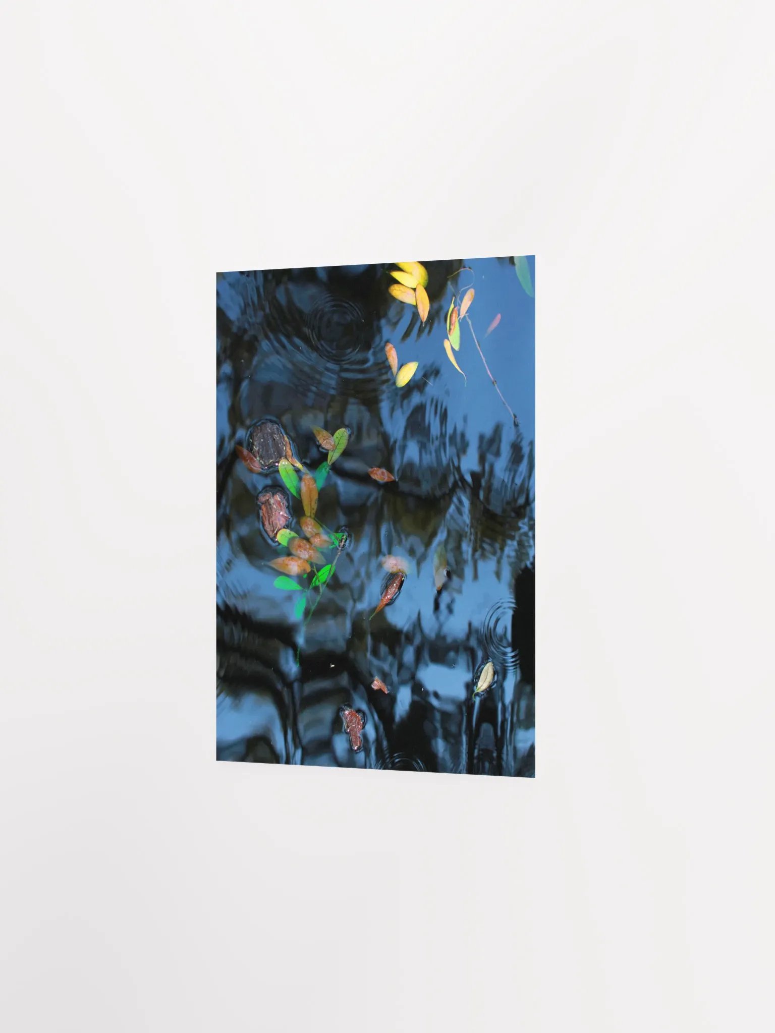 Musical Theatre product image (15)