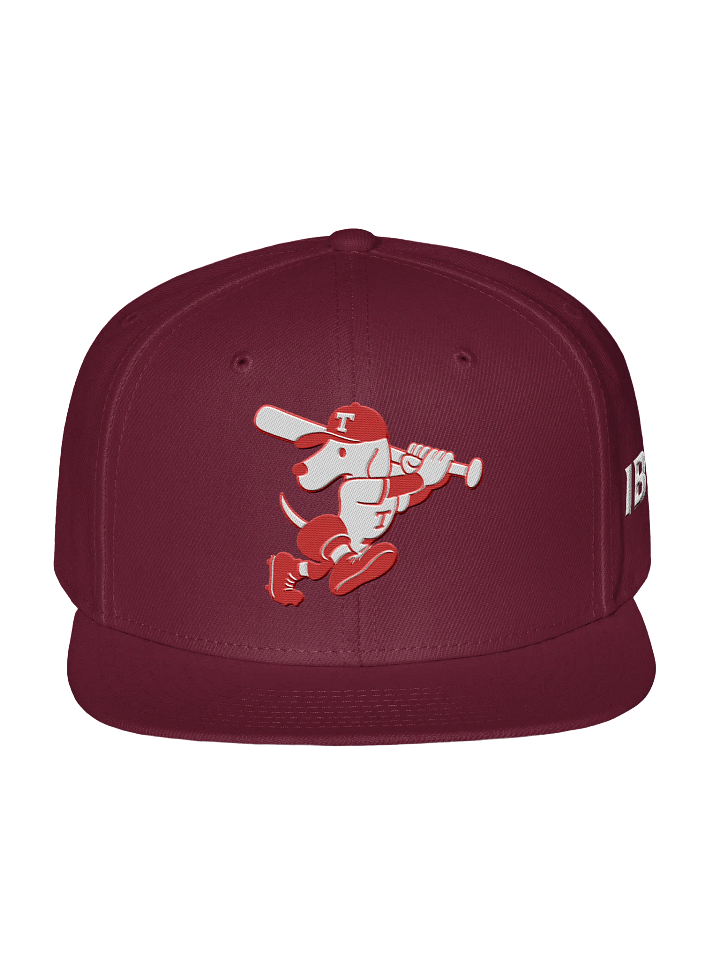 Galt Terriers Legacy Cap product image (6)