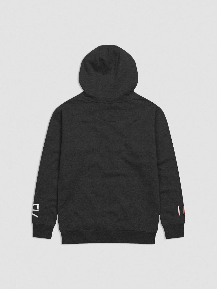 713 Day Hoodie product image (2)