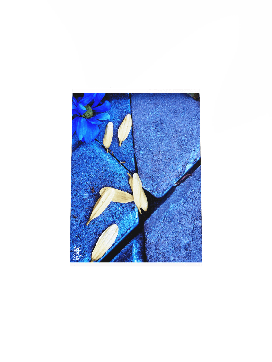 Blue Flower and Yellow Petals product image (8)