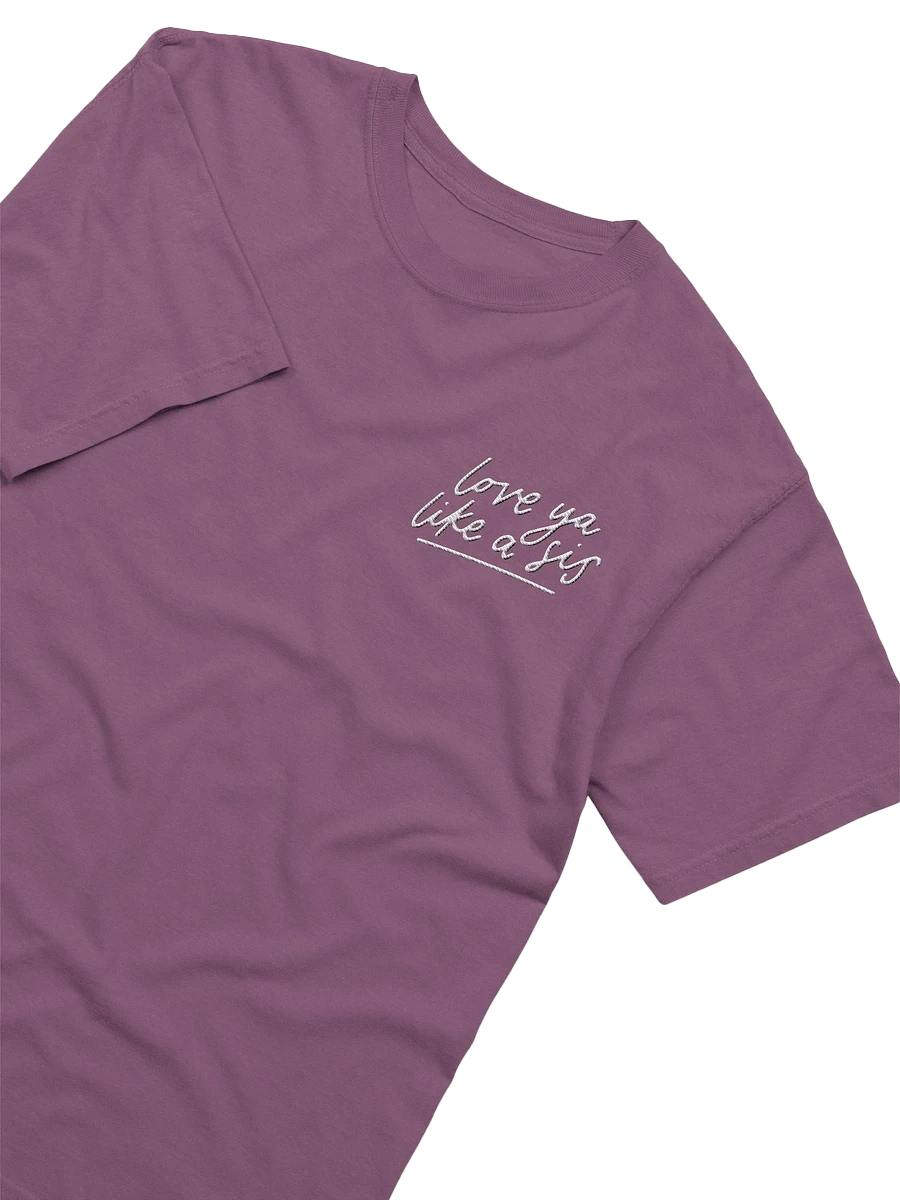 Love Ya Like a Sis embroidered tee product image (2)