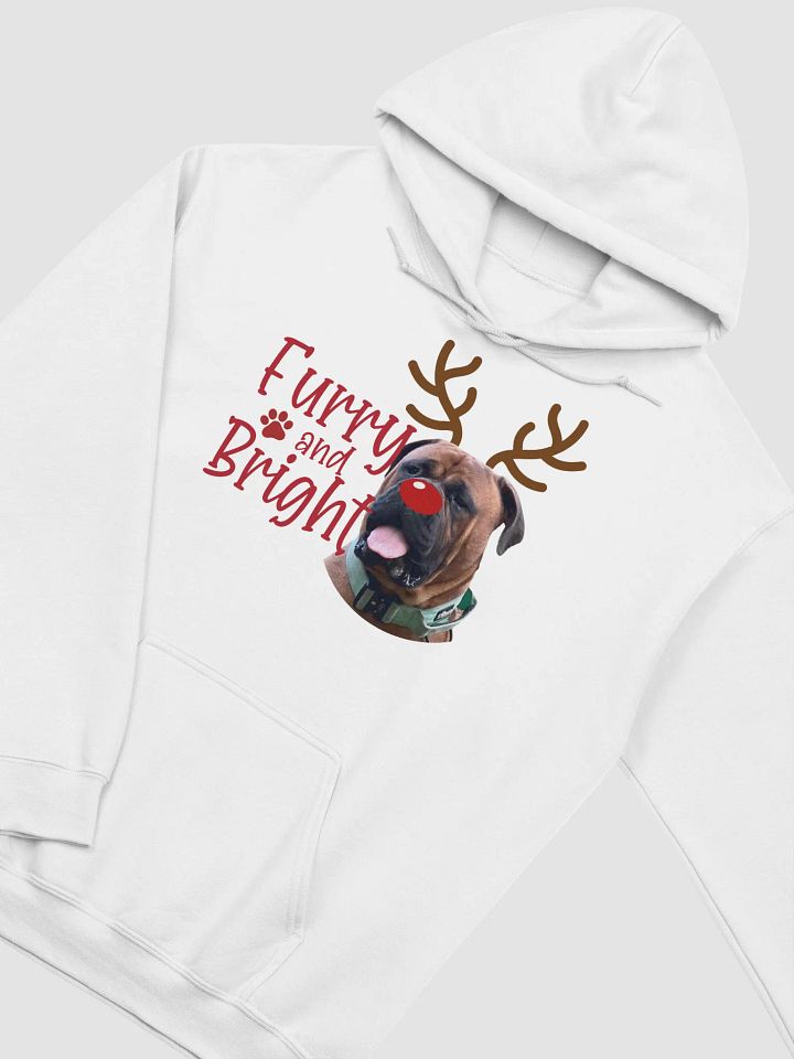 Furry and Bright Hoodie product image (91)