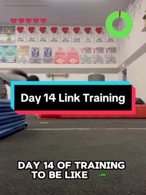 Apologies for the lack of uploads the past couple of days, been busy and just hadn’t had time to either get footage and or edit but I should be back! #fypシ #zelda #link #series #fyp #growth #workout #gymnastics 