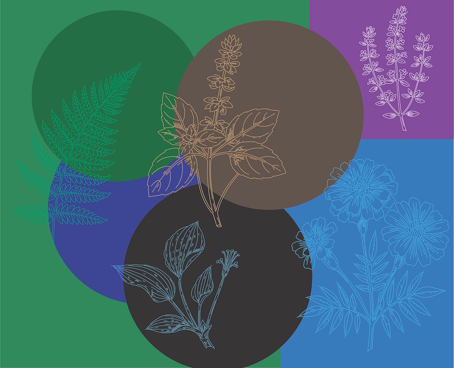 Botanical Line Art Bundle – Floral SVG Art Collection with Flowers, Leaves, Plants, and More product image (5)