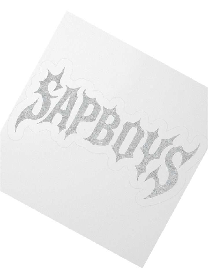 SAPBOYS STICKER product image (4)
