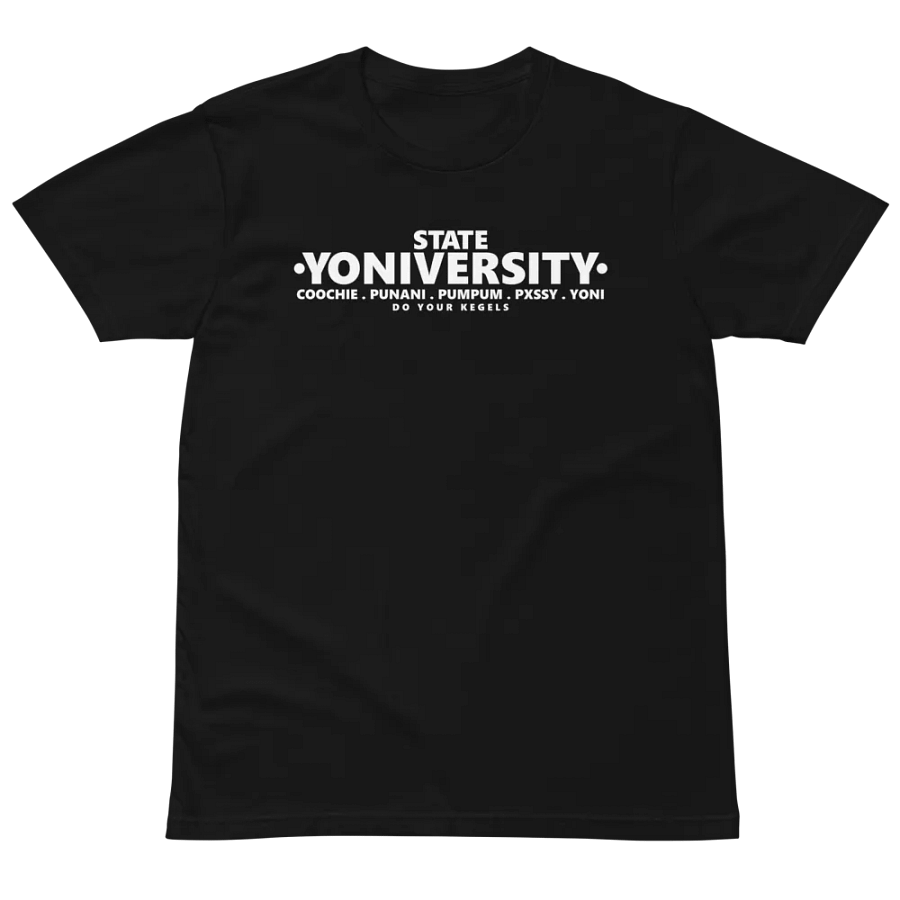 SY 2YFEST product image (19)