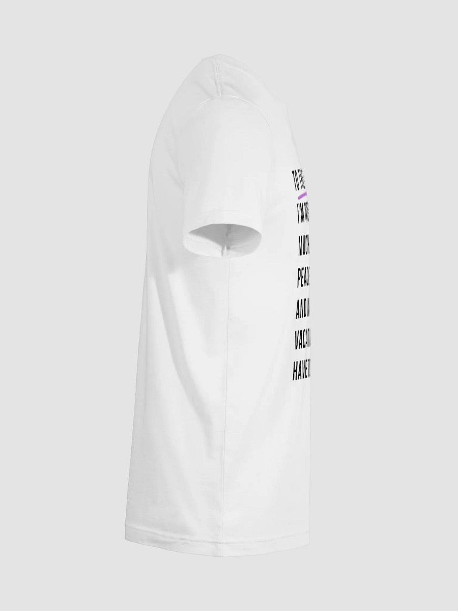 To the Universe: Just Peace, Clarity, and Maybe a Free Vacation Tee product image (23)