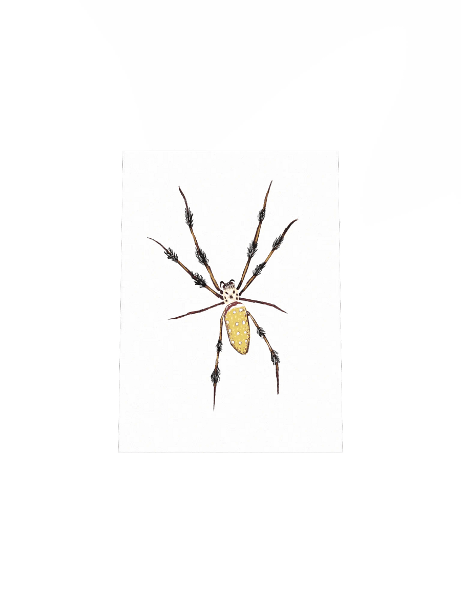 Smart Spider Mini Print product image (4)