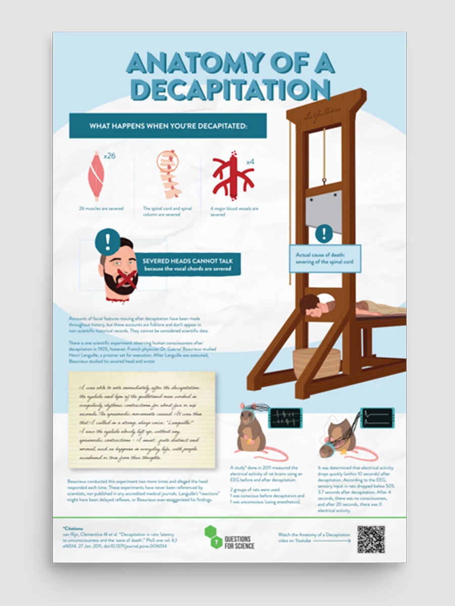 Anatomy of a Decapitation 12