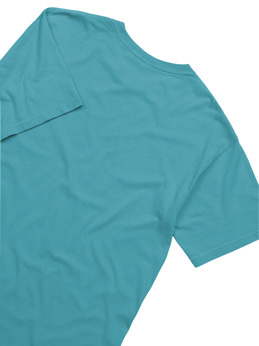 Today is the Day Shirt (loud) product image (10)