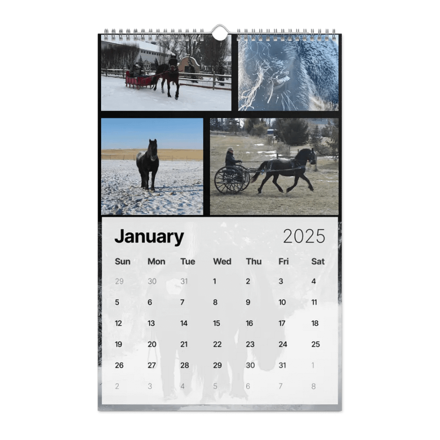 2025 Moriesian Horse Registry Calendar product image (19)