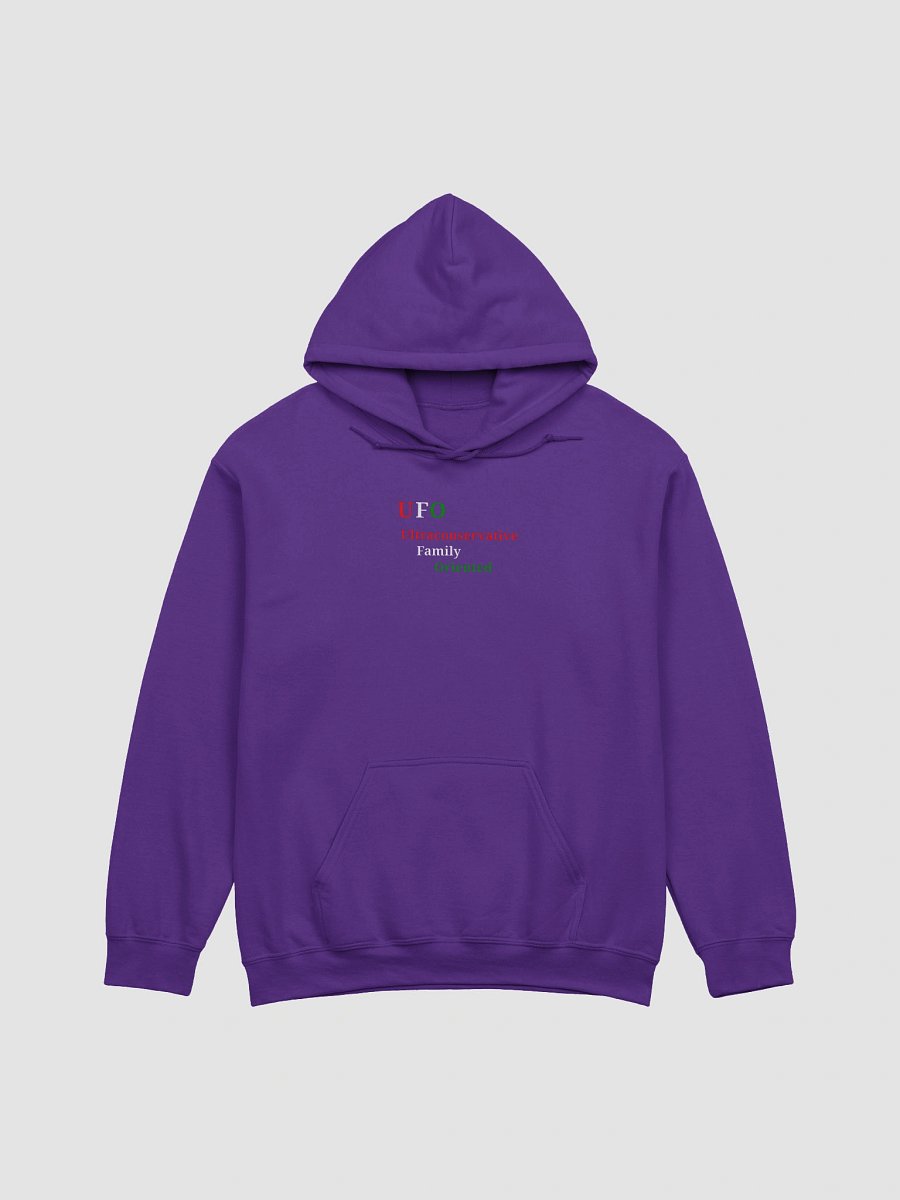 UFO Wordplay Gildan Hoodie product image (1)