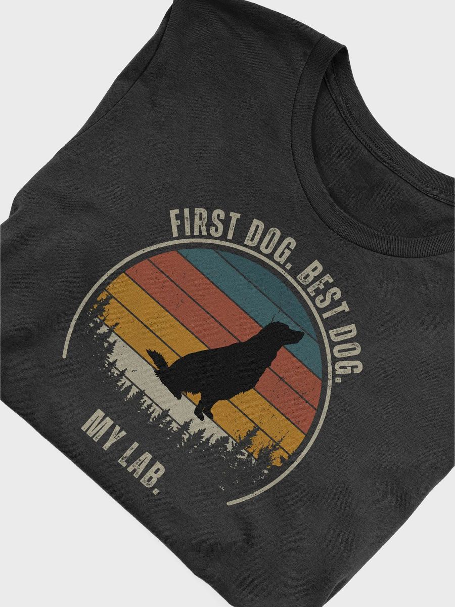 Retro Labrador Silhouette T-Shirt product image (28)