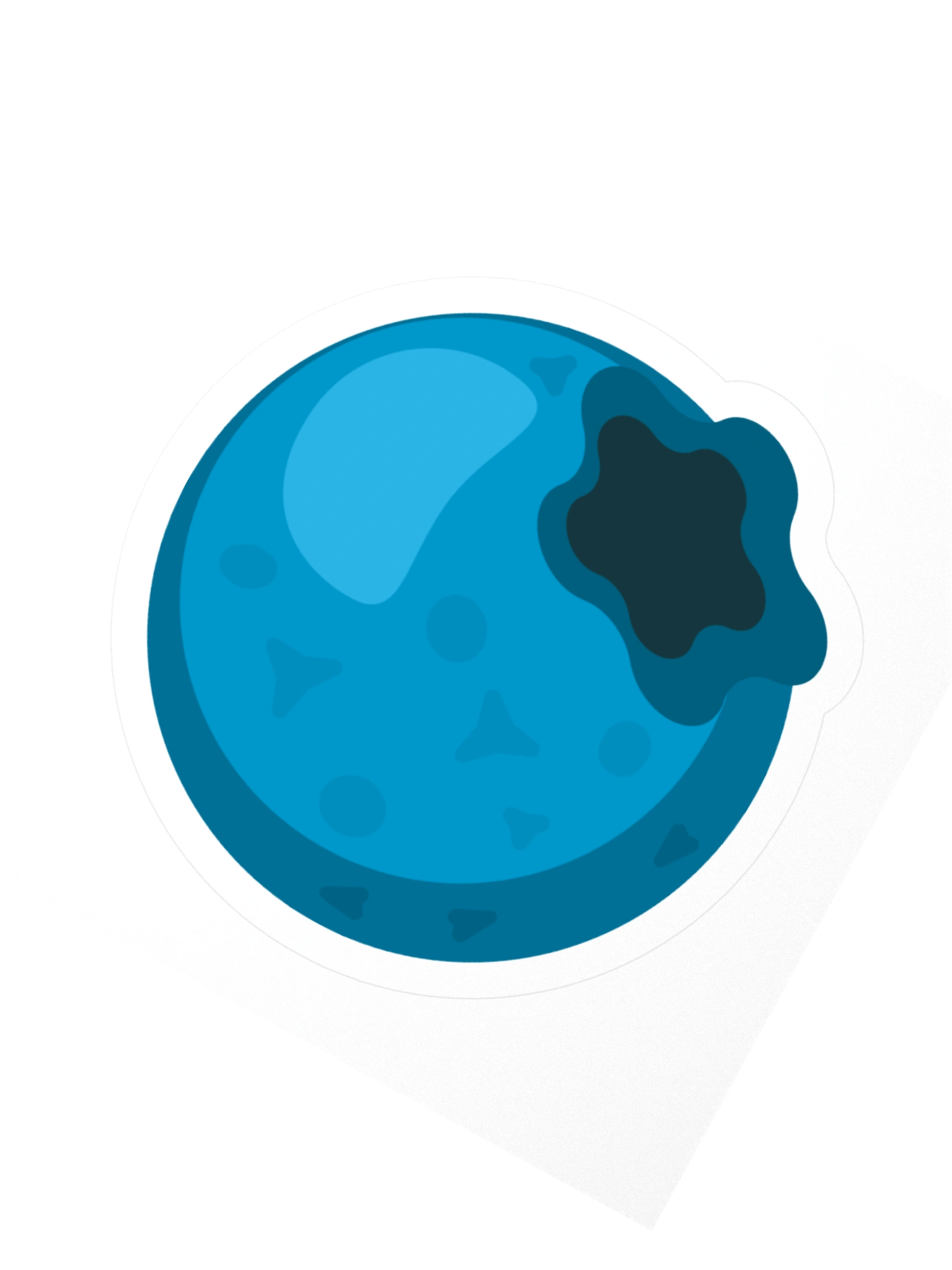 Blueberry product image (2)