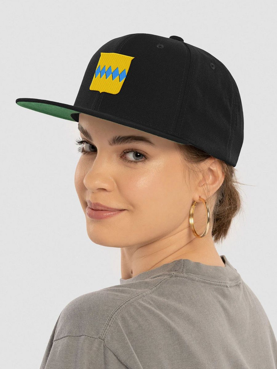 Pennington Snapback Hat product image (80)
