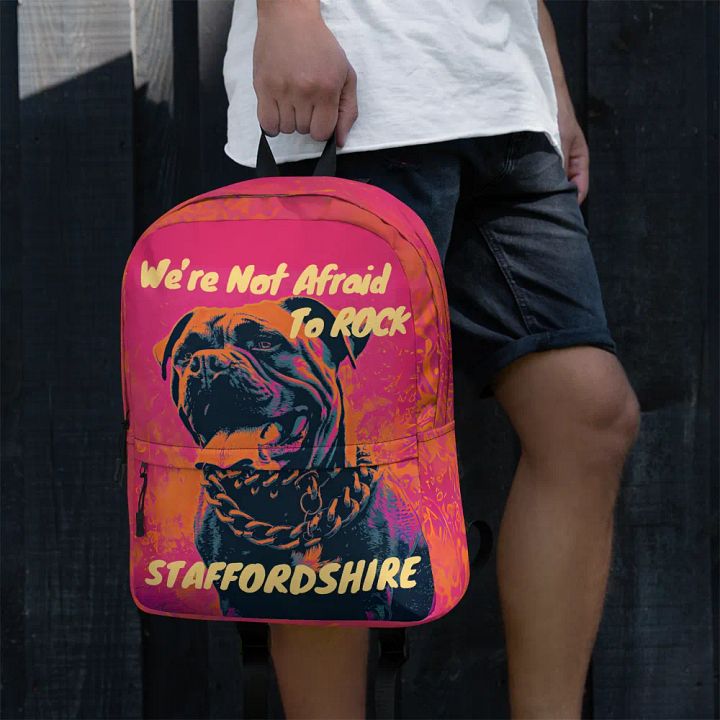 We're Not Afraid To Rock Staffordshire Hoodie product image (2)