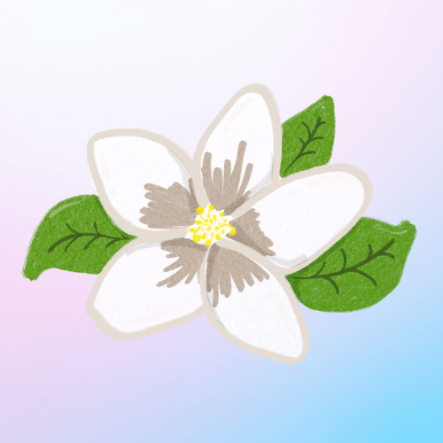 🌸 Floral 