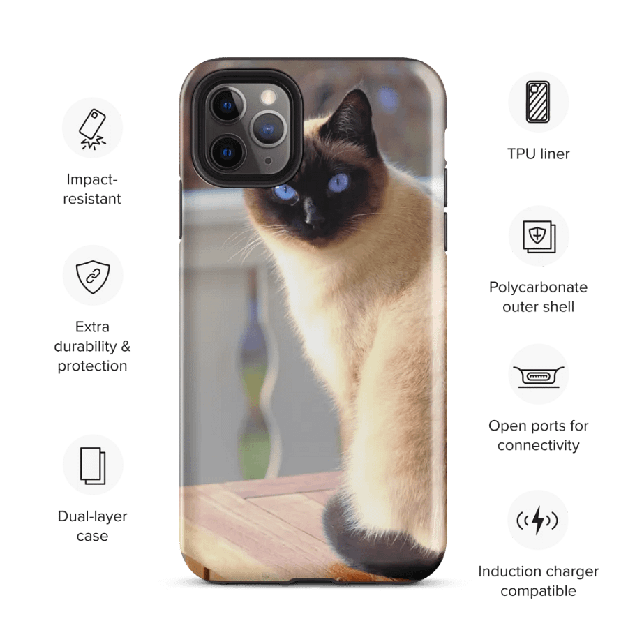 Cat on Front Porch Phone Case for Feline Enthusiasts product image (35)
