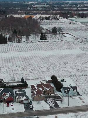 #ForSale | An exceptional custom residence in the heart of Jordan Station. Welcome to 4085 Jordan Road a meticulously crafted home where architectural flexibility, refined finishes, and thoughtful design come together. This five-bedroom, six-bathroom estate was built with intention, offering both immediate comfort and long-term adaptability. Features you'll love: ✨ Quarter-sawn white oak flooring throughout the bright, open-concept main floor. 🍽️ Custom kitchen with maple cabinetry and quartz countertops, perfect for everyday living and entertaining. 🏡 Flexible layout with no load-bearing walls, making future changes easy. 🔑 Private in-law suite with separate entrance, patio, and main-floor laundry. 🌳 Oversized windows filling the home with natural light and peaceful orchard views. 🔹Stunning floating white oak staircase with Swarovski crystal spindles. 🔥 Fully finished lower level with 8-ft ceilings and heated limestone floors in 5 zones. 🛏️ Two spacious bedrooms downstairs, each with its own ensuite, plus living area and office. 🚗 Heated garage with walk-down basement access, plus detached rear garage for extra storage. Purposefully built and thoughtfully designed, 4085 Jordan Road offers a rare opportunity in one of Lincoln's most desirable settings. 📍4085 Jordan Road, #Lincoln, ON Listed for $2,398,988. Listing Agent: Daniel Garrett, Sales Representative 📱 (647) 371-5065 ✉️ dgarrett@golfiteam.com #GolfiGetsItSold #TheGolfiTeam #GolfiTeam #RealEstate #REMAX #RealEstateTeam #RealEstateAgent #Realtor #ListingforSale #HomeforSale #ListingforSaleLincoln #LuxuryHomeforSale #LuxuryRealEstate #LuxuryHome #LuxuryListing #LuxuryListingforSale #LuxuryHomeforSale