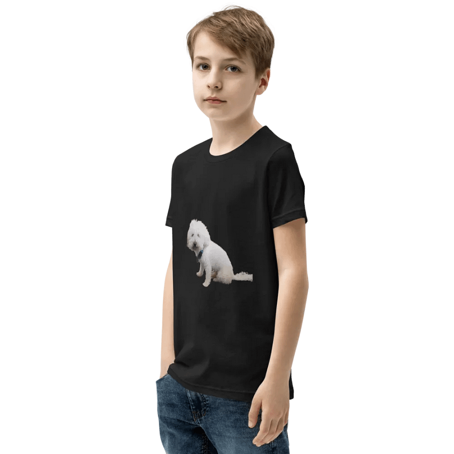 TODDLER SHIIRT product image (4)