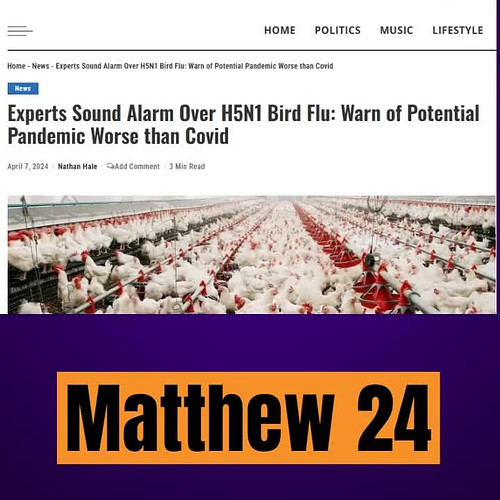 H5N1 Bird Flu potential pandemic worse than COVID

Full Story (Free video) https://buff.ly/43NwkM8 

#pandemic #birdflu #h5n1