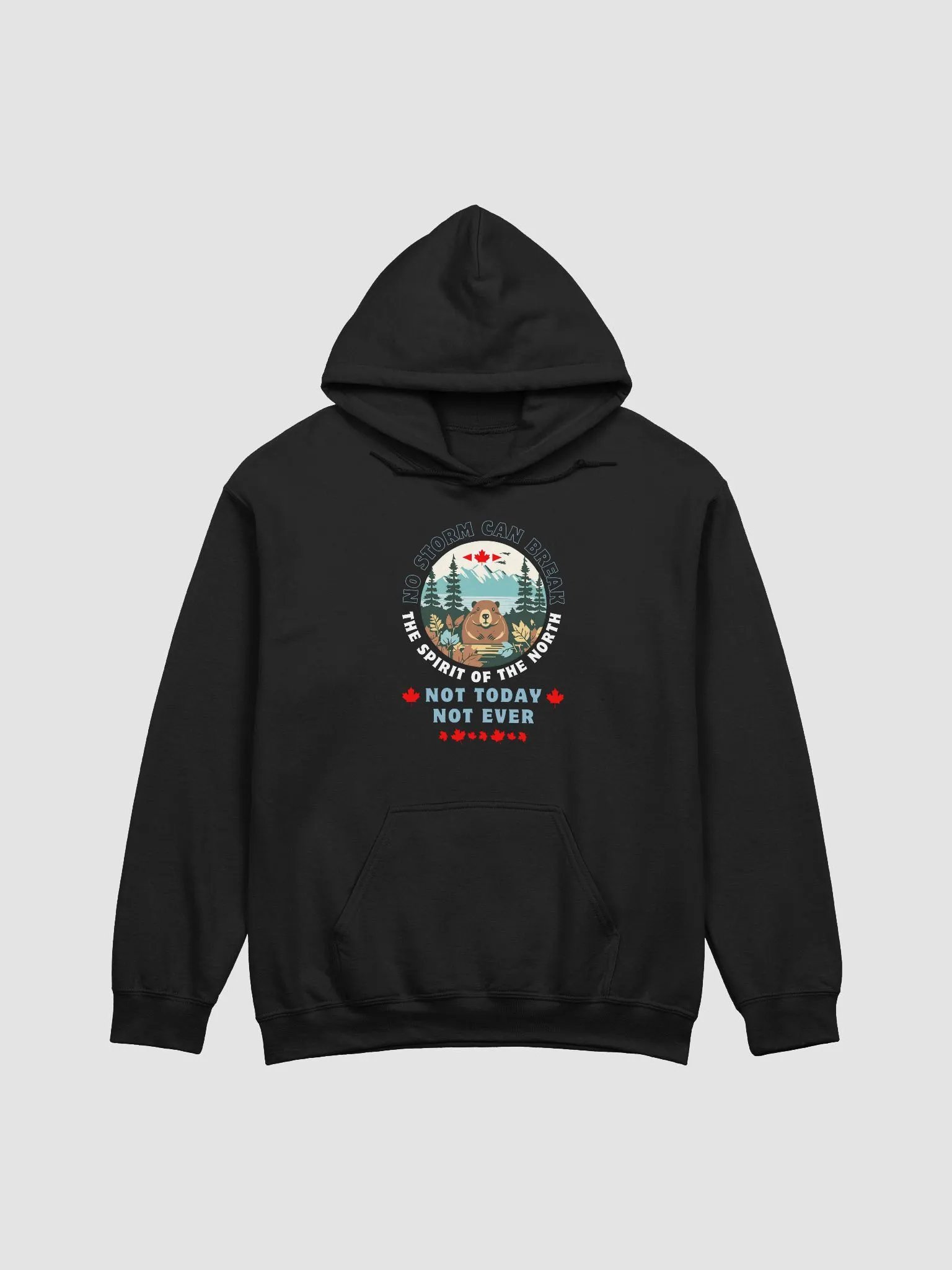 Snow Beaver Classic Hoodie product image (2)