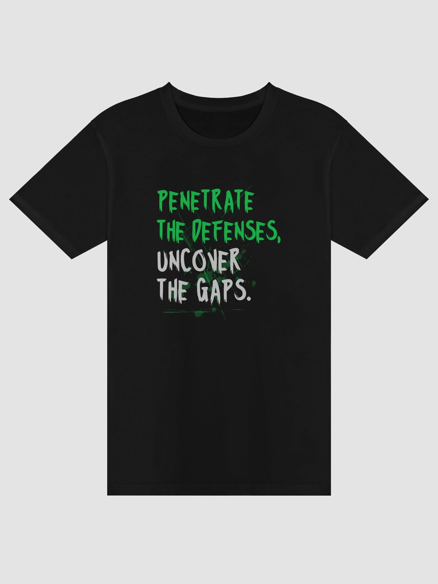 🛡️ Penetrate the Defenses, Uncover the Gaps product image (3)