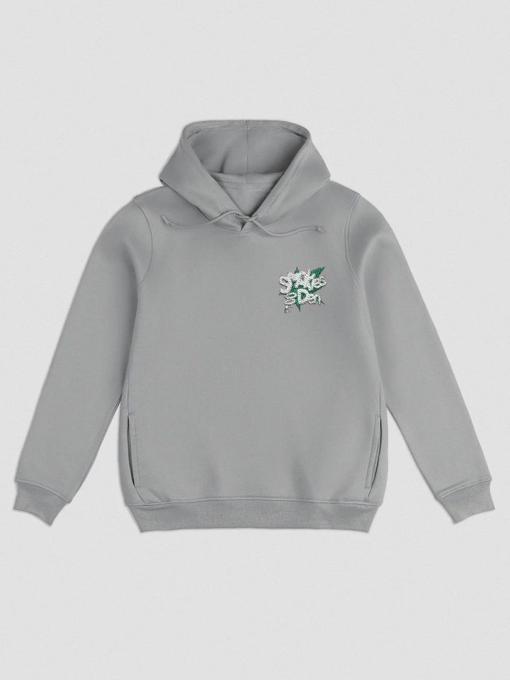 Ladies Hoodie product image (1)