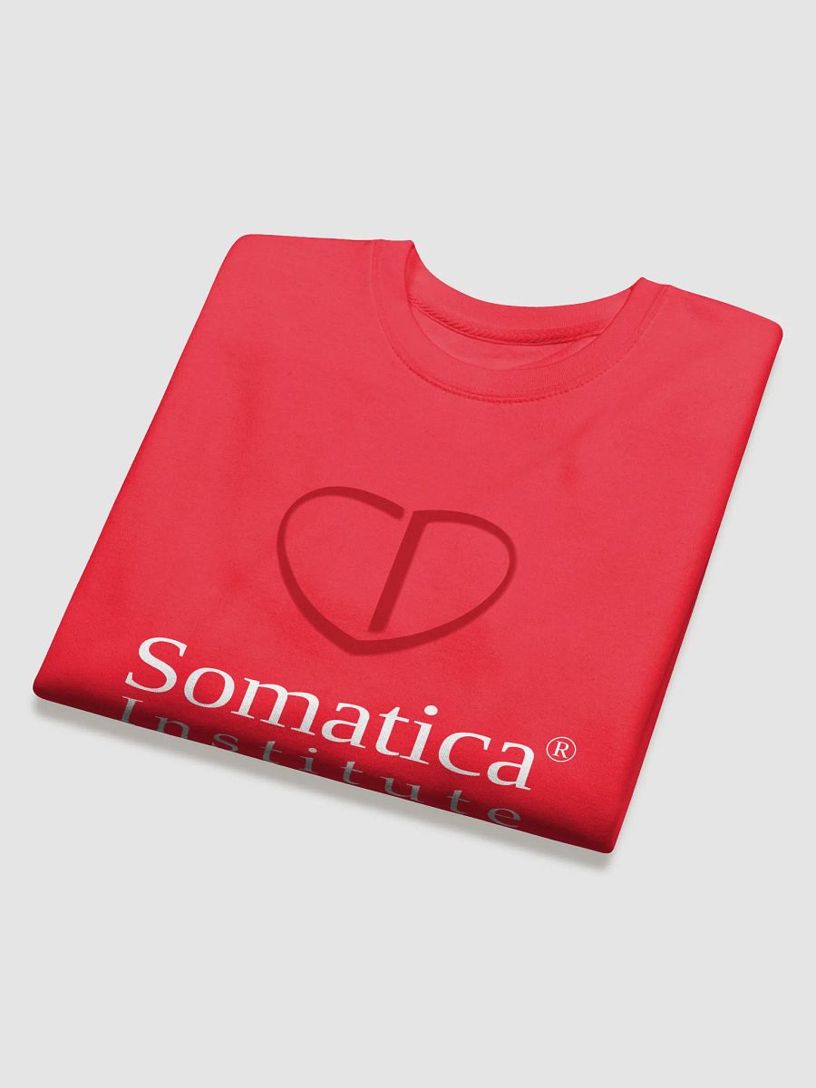 Somatica Institute Sweatshirt product image (3)