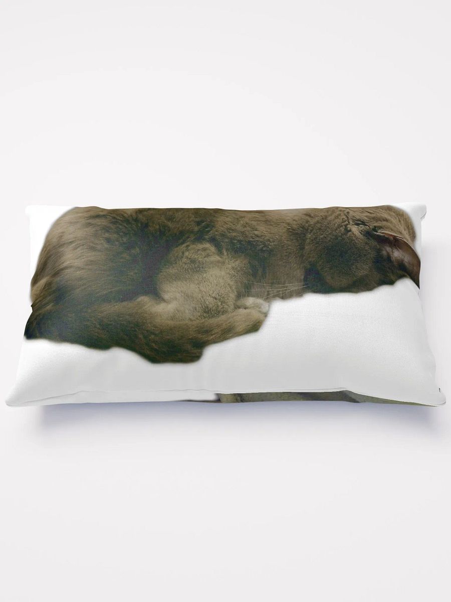 Smokey & Zoey Sleepy Pillow product image (1)