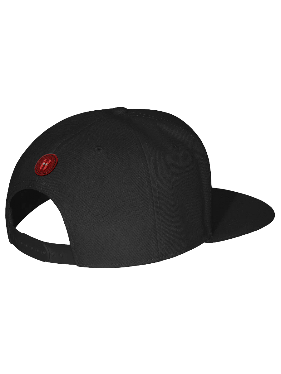 SpartanX Warrior Snapback Cap product image (3)