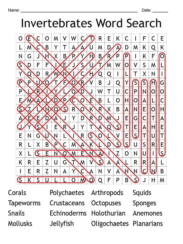 Invertebrate Word Search: 16 Creatures to Find! product image (2)