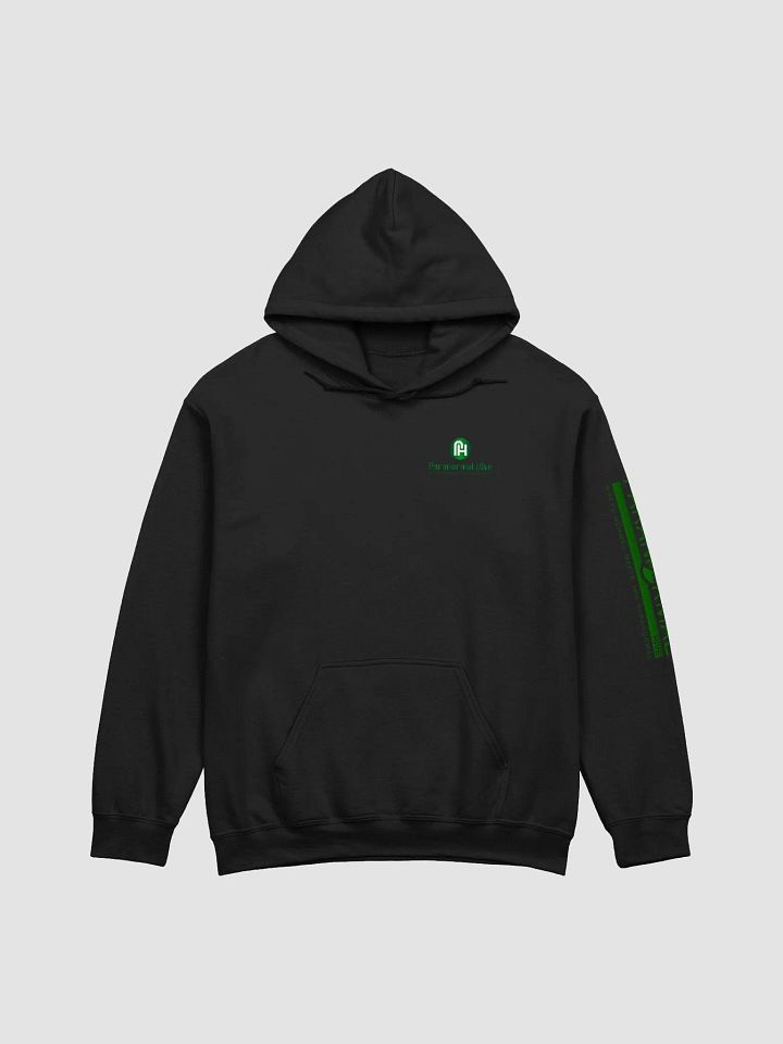 Adventure-Ready Classic Hoodie product image (1)