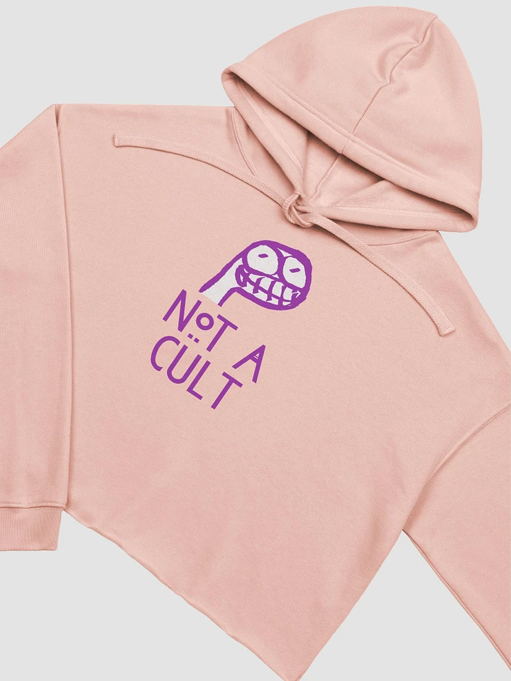 Not a Cult Crop Hoodie product image (1)