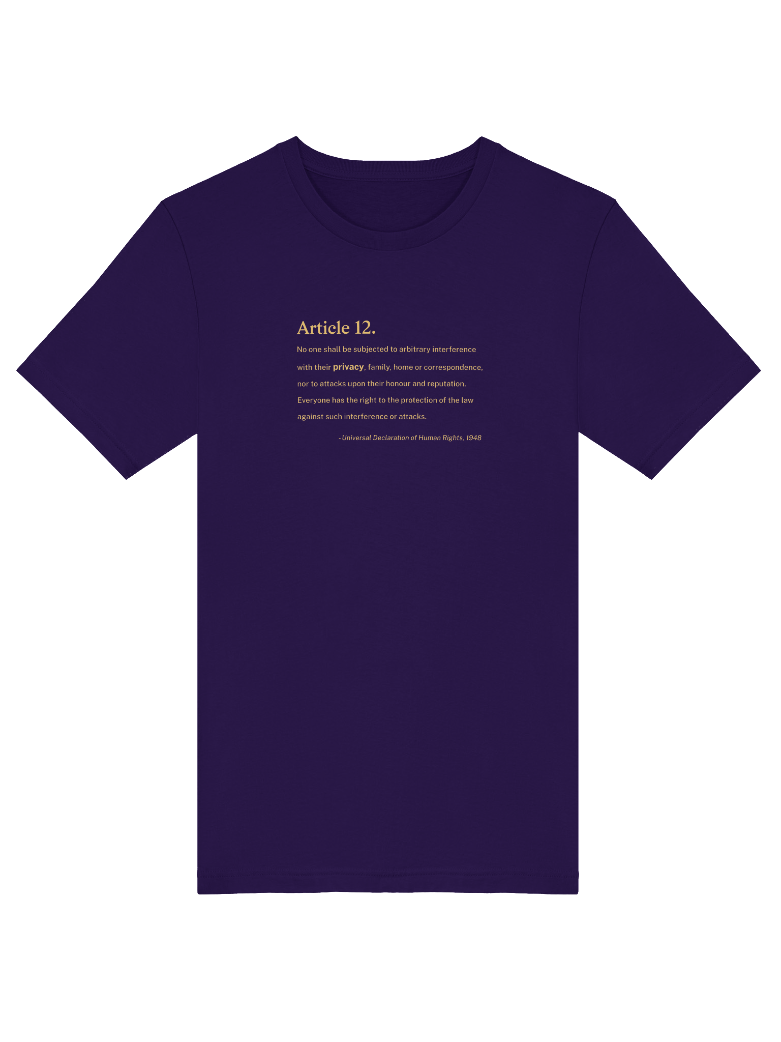 Article 12 - Supersoft T-Shirt (Bella+Canvas) product image (3)