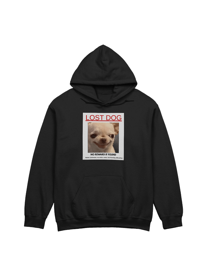 Lost Dog Hoodie product image (1)