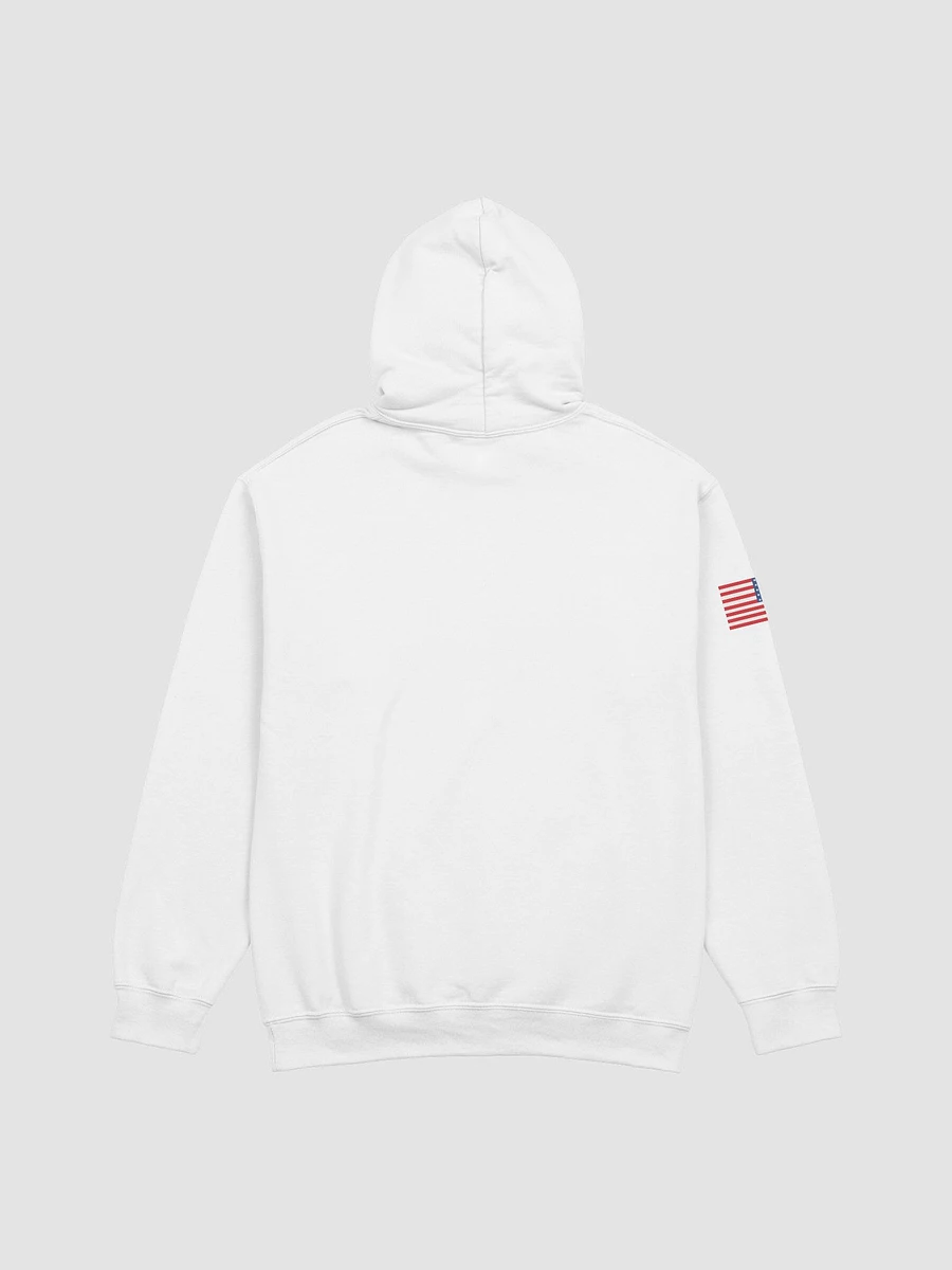 God Bless Texas Hoodie product image (4)