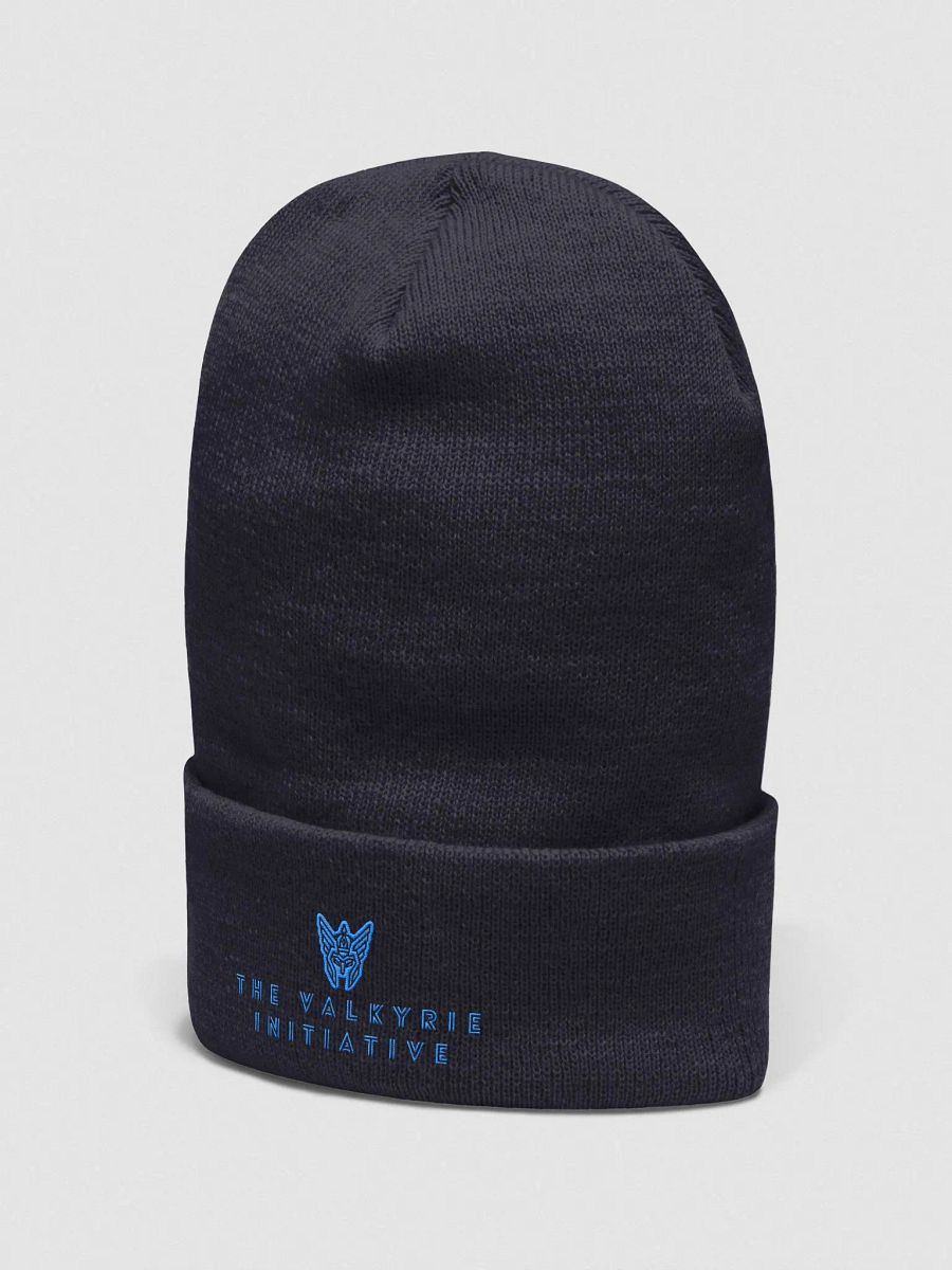 Beanie w/ Blue Logo product image (8)