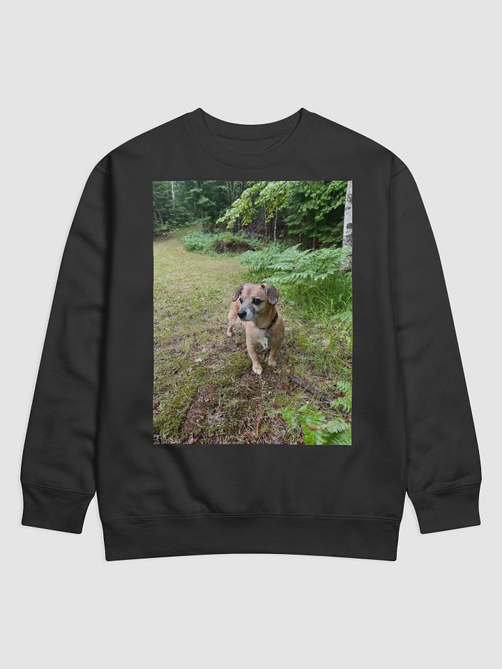 Forest Rocky Sweater product image (5)