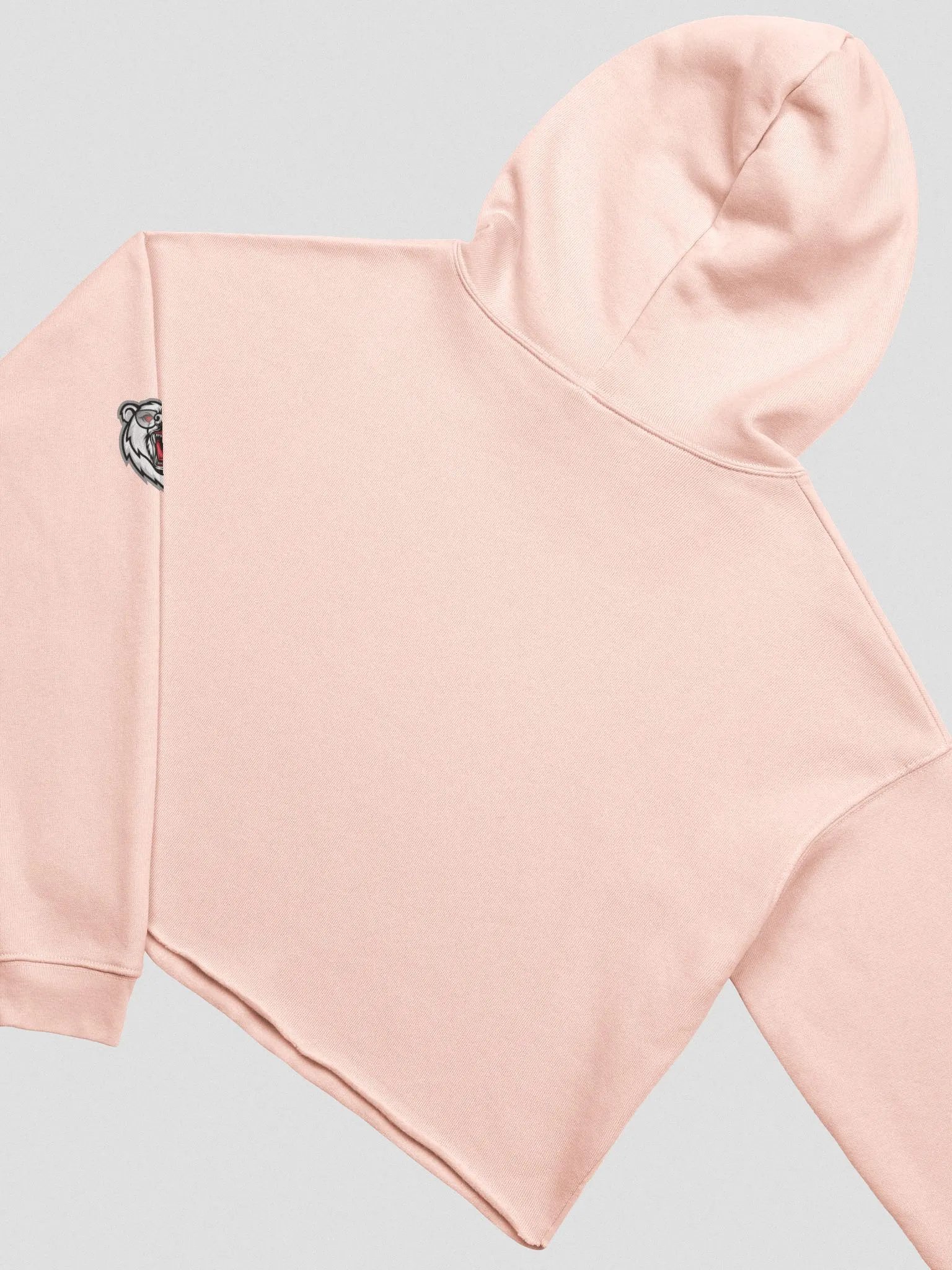 DaLegacy23 White Logo Crop Hoodie product image (13)