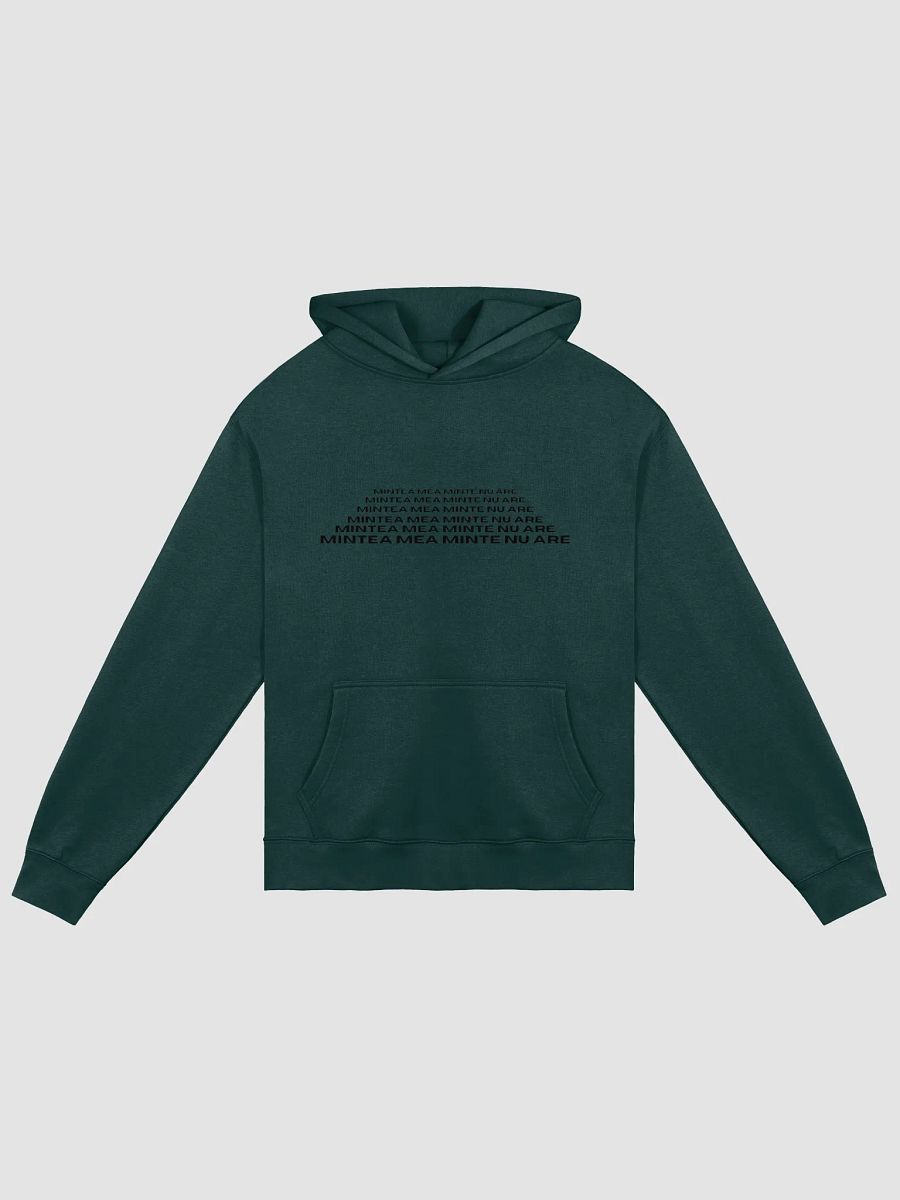No Rules Hoodie product image (1)