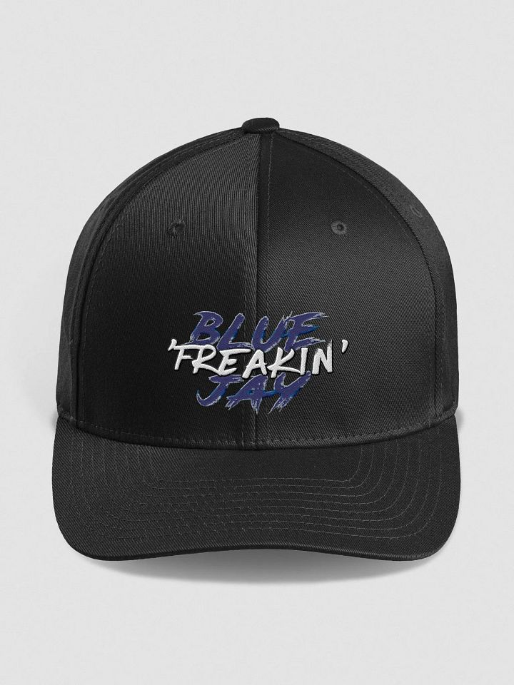 BTW Blue Freakin Jay fitted snap back product image (2)