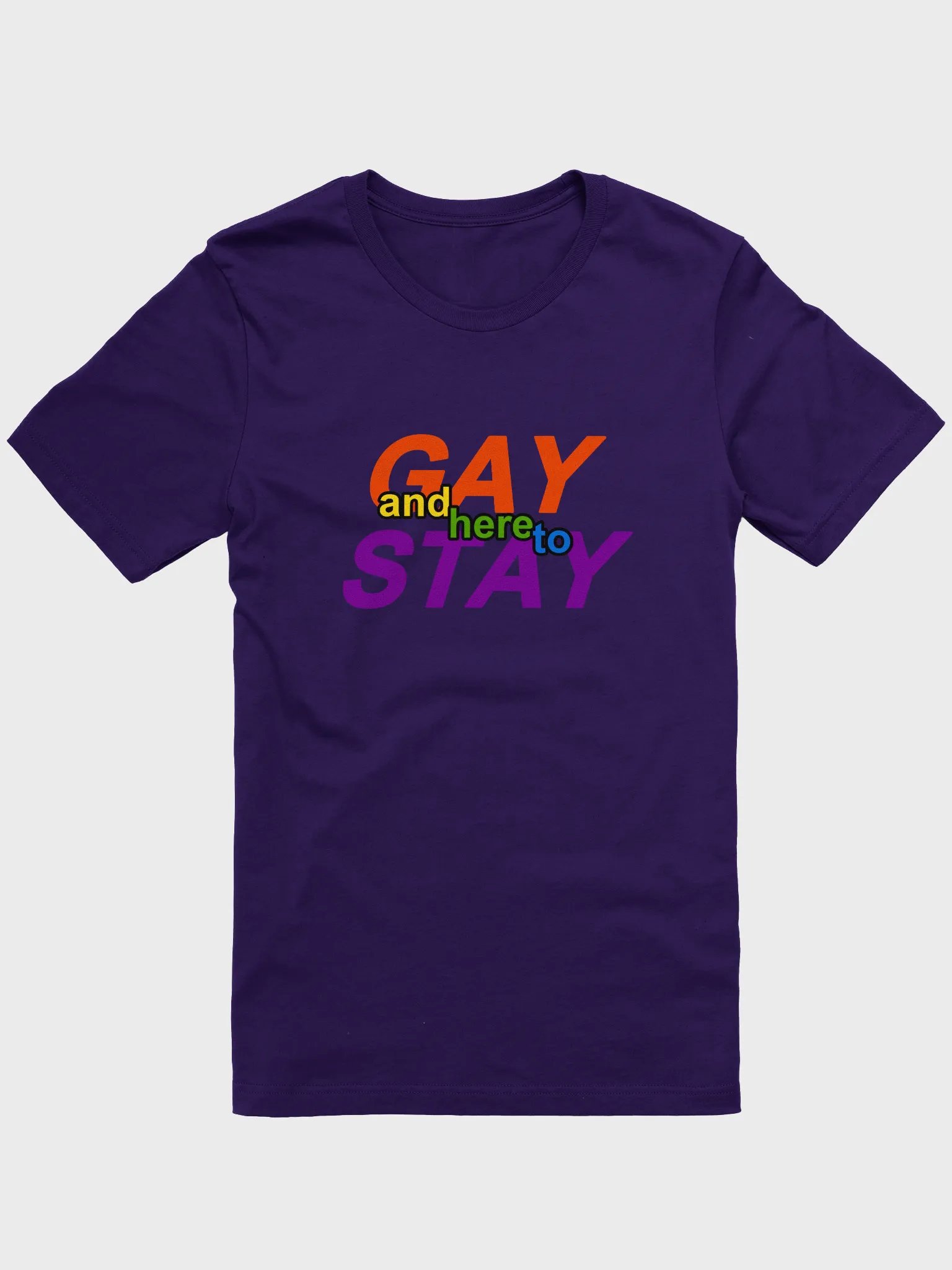 gay and here to stay (rainbow) t-shirt product image (1)