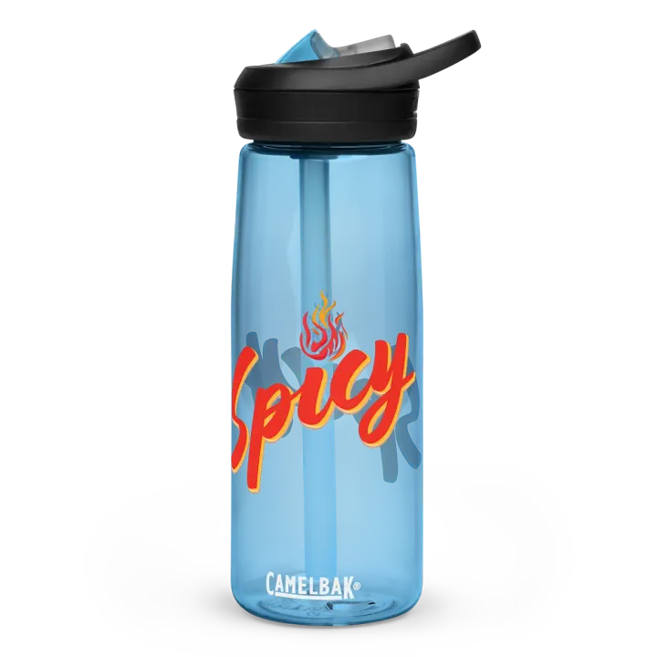 Spicy Dodgeball Club CamelBak Eddy®+ Sports Water Bottle product image (1)
