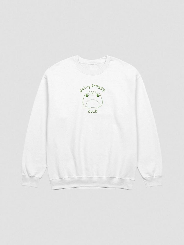 Daily Froggy Club Embroidered Sweater product image (16)
