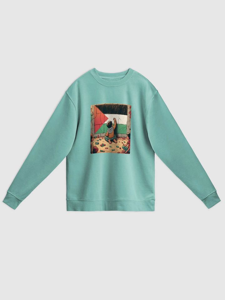 Vintage Pigment Dyed Crew Sweatshirt | free palestine product image (44)
